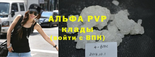 индика Нея