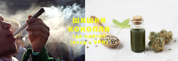 индика Нея