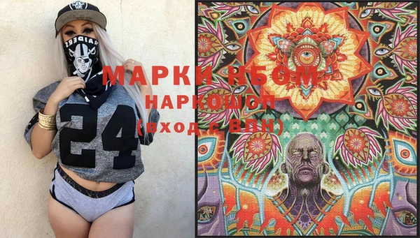 индика Нея