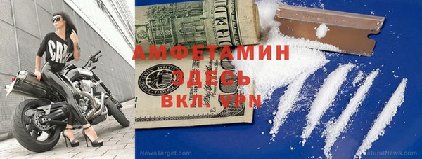 индика Нея