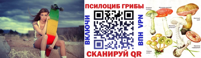 купить закладку Игарка MEGA ссылки Галлюциногенные грибы GOLDEN TEACHER